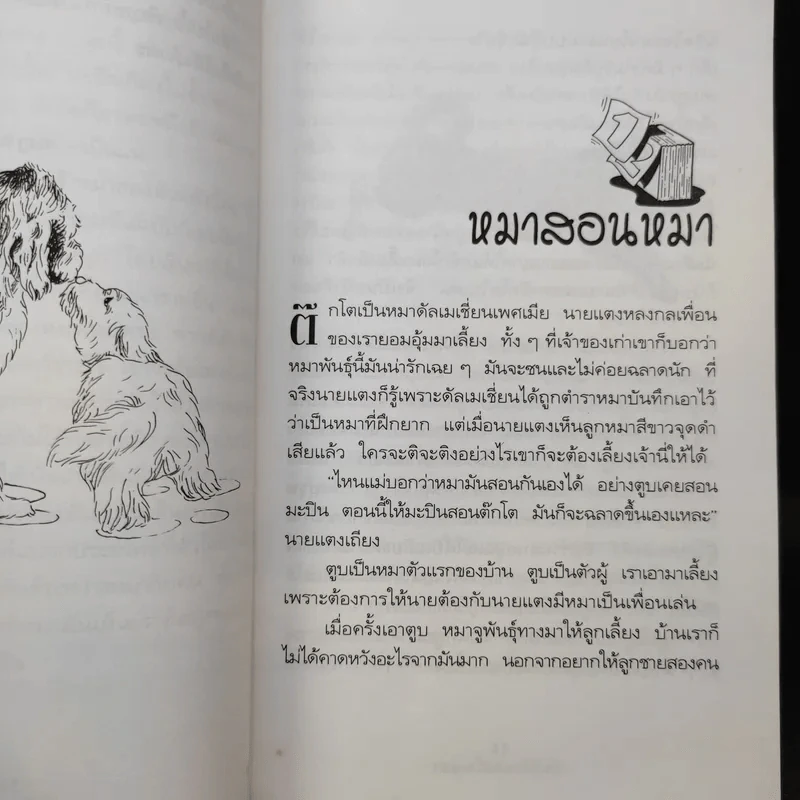 บันทึกหมอเลี้ยงหมา - พญ.ลลิตา ธีระสิริ รูปที่ 11