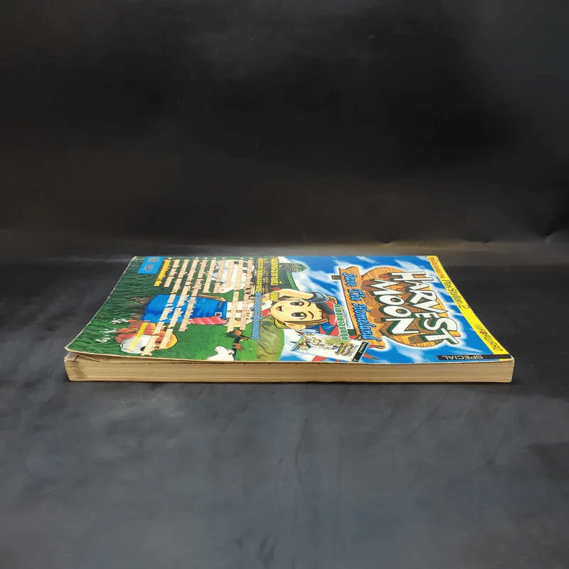 Harvest Moon Save the Homeland ภาคภาษาอังกฤษ คู่มือเฉลยเกม Play Station 2 รูปที่ 5