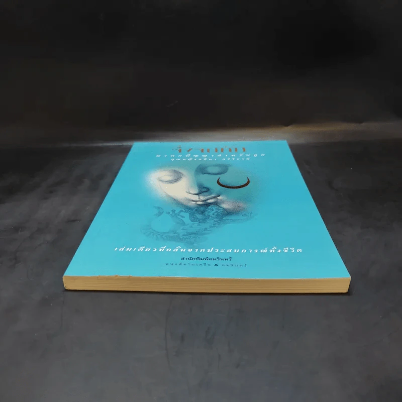 จิ้งจกทัก - คุณหญิงศศิมา ศรีวิกรม์ รูปที่ 4