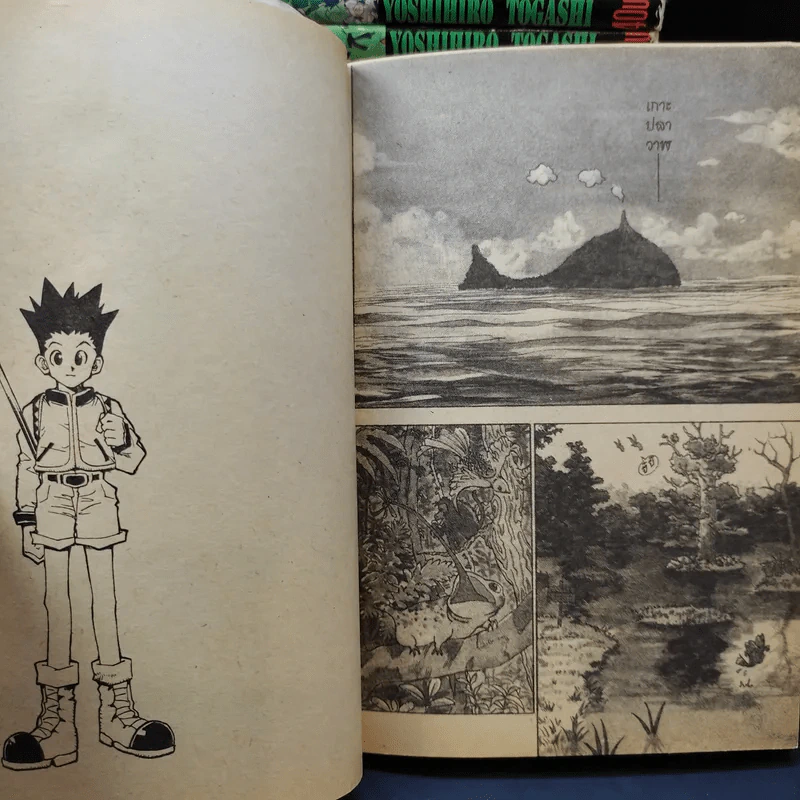 Hunter X Hunter ฮันเตอร์ X ฮันเตอร์ เล่ม 1-33 (ขาดเล่ม 2) รูปที่ 8