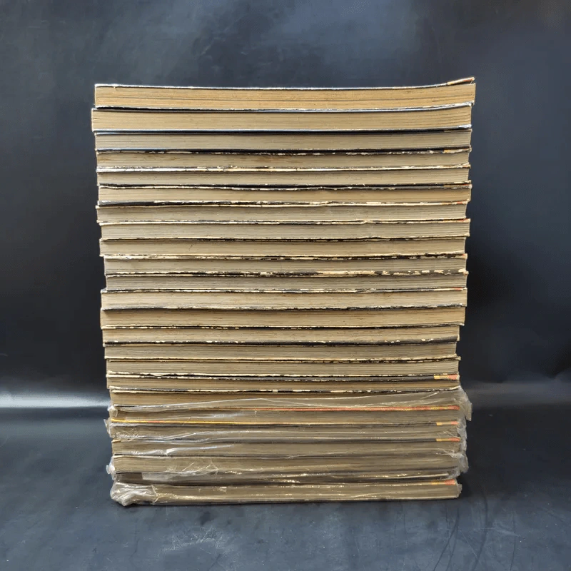 มีดที่ 13 Nostalgia เล่ม 1-7,10-20,22,23,25,26,27 รูปที่ 4