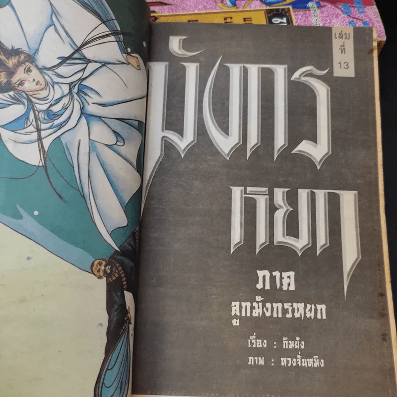มังกรหยก ภาคลูกมังกรหยก เล่ม 4,5,7,10,11,12,13 รูปที่ 8