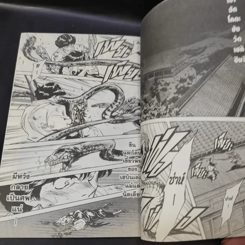 Masked Riders Spirits ตำนานหน้ากากมด เล่ม 6 รูปที่ 13