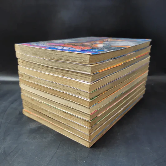 Jojo Part 6 Stone Ocean โจโจ้ ล่าข้ามศตวรรษ ภาค 6 เล่ม 1,4-9,11-14,16 รูปที่ 6