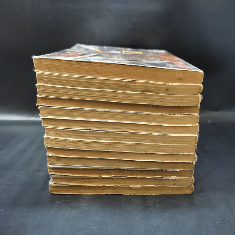Lucky Man เล่ม 2,3,5-9,11-16 รูปที่ 5