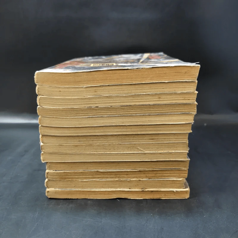 Lucky Man เล่ม 2,3,5-9,11-16 รูปที่ 3