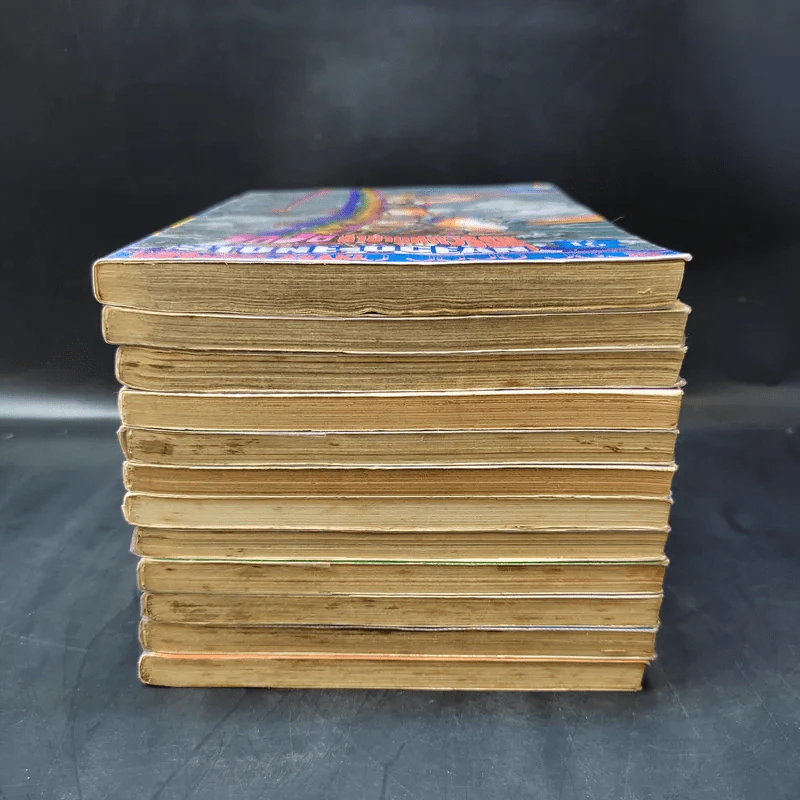 Jojo Part 6 Stone Ocean โจโจ้ ล่าข้ามศตวรรษ ภาค 6 เล่ม 1,4-9,11-14,16 รูปที่ 3