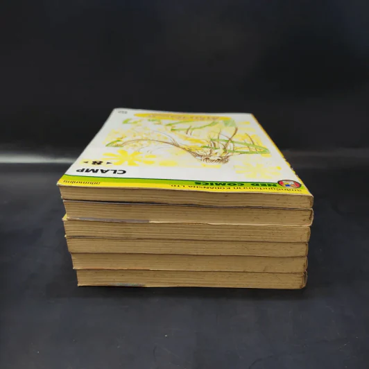 ดิจิทัลเลดี้ Chobits เล่ม 1-4,7,8 - Clamp รูปที่ 5