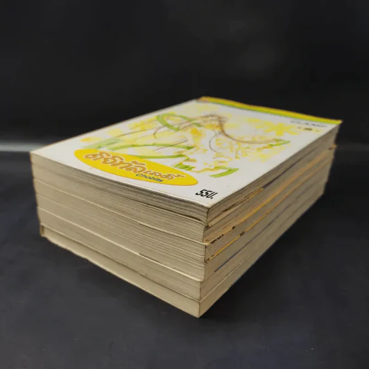 ดิจิทัลเลดี้ Chobits เล่ม 1-4,7,8 - Clamp รูปที่ 6