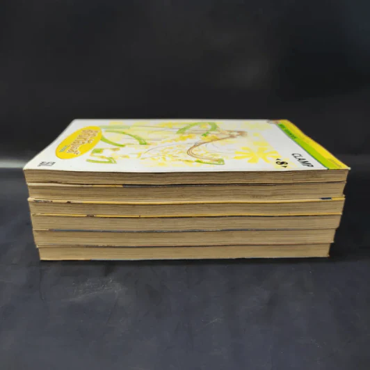 ดิจิทัลเลดี้ Chobits เล่ม 1-4,7,8 - Clamp รูปที่ 4