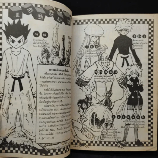 Hunter X Hunter ฮันเตอร์ X ฮันเตอร์ เล่ม 21 รูปที่ 8