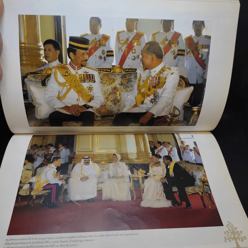ประทับในใจราษฎร์ ประมวลภาพประวัติศาสตร์ ฉลองสิริราชสมบัติ 60 ปี รูปที่ 12