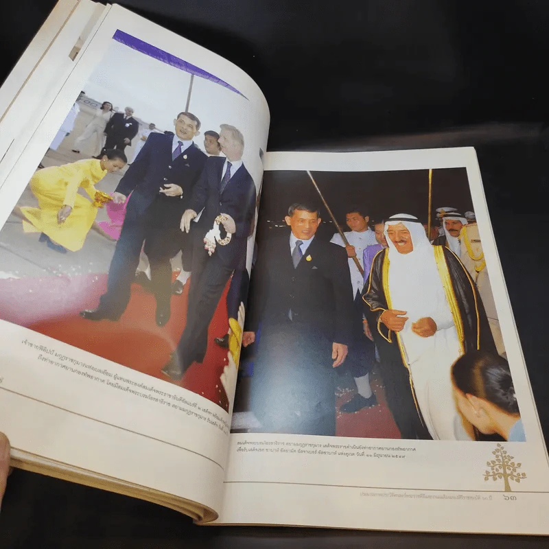 ประทับในใจราษฎร์ ประมวลภาพประวัติศาสตร์ ฉลองสิริราชสมบัติ 60 ปี รูปที่ 11