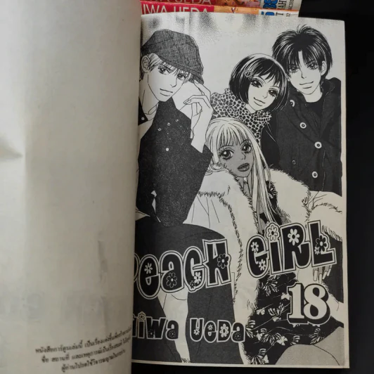 Peach Girl 18 เล่มจบ รูปที่ 8