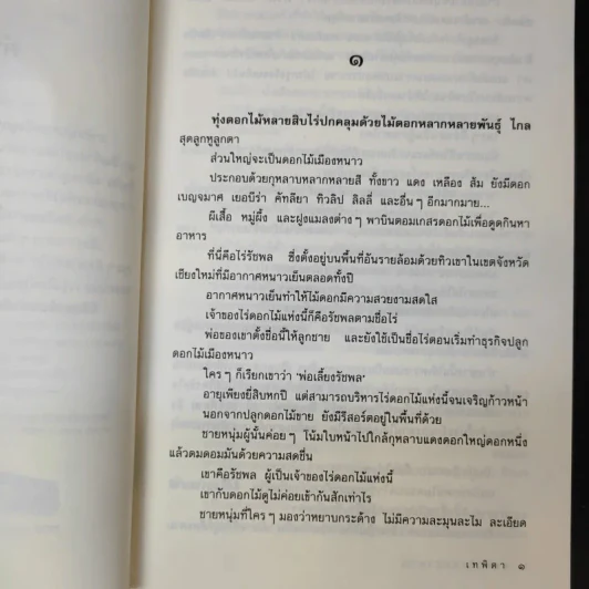 ดอกไม้ของซาตาน - เทพิตา รูปที่ 10