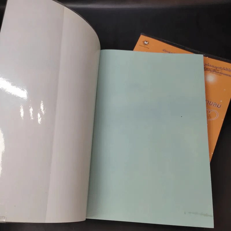 นิยายแจ่มใส สายลมหัวใจในความทรงจำ 2 เล่มจบ - อิมอึนฮี รูปที่ 8