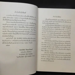 สิเน่หาส่าหรี - พงศกร รูปที่ 10