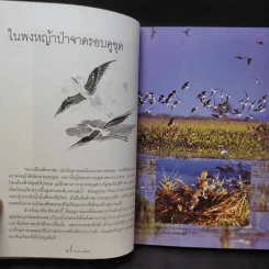 ดวงใจแห่งไพรพฤกษ์ - ดวงดาว สุวรรณรังษี รูปที่ 10