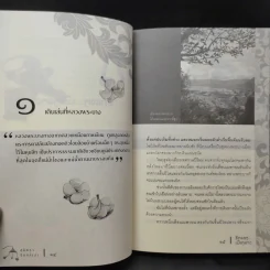 รักแพง เมืองลาว - สุมิตรา จันทร์เงา รูปที่ 12
