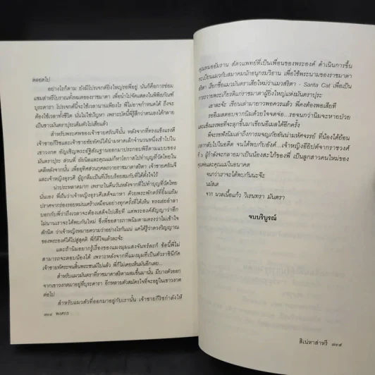 สิเน่หาส่าหรี - พงศกร รูปที่ 12