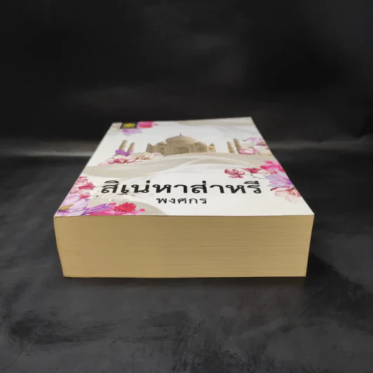 สิเน่หาส่าหรี - พงศกร รูปที่ 4