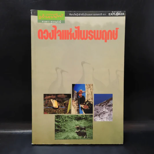ดวงใจแห่งไพรพฤกษ์ - ดวงดาว สุวรรณรังษี รูปที่ 1