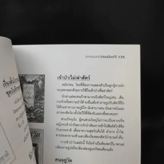 ยกครอบครัวท่องเมืองกีวี - ไมตรี ลิมปิชาติ รูปที่ 12