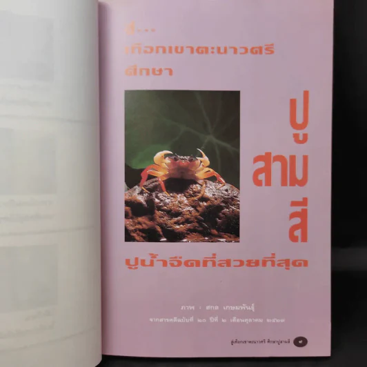 ก่อนจะไม่มีลมหายใจสำหรับพรุ่งนี้ - วัยชัย ตันติวิทยาพิทักษ์ รูปที่ 11