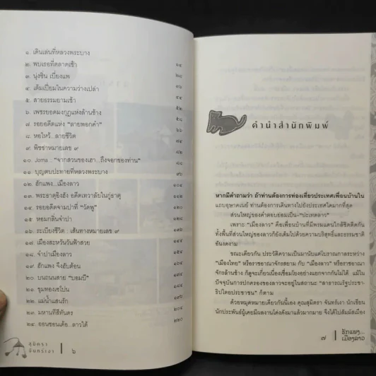 รักแพง เมืองลาว - สุมิตรา จันทร์เงา รูปที่ 11