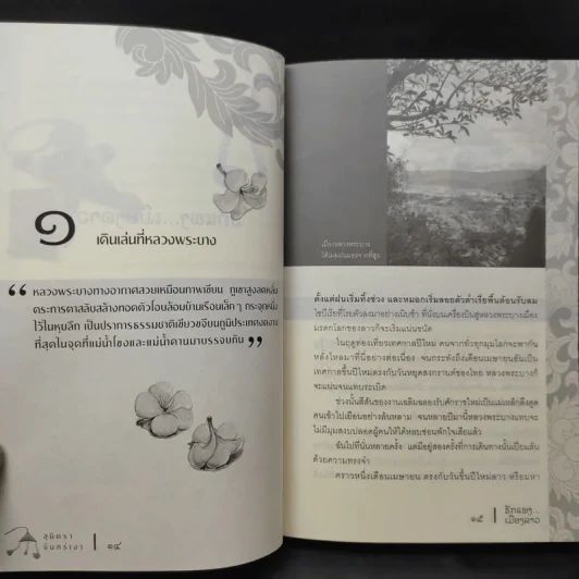 รักแพง เมืองลาว - สุมิตรา จันทร์เงา รูปที่ 12