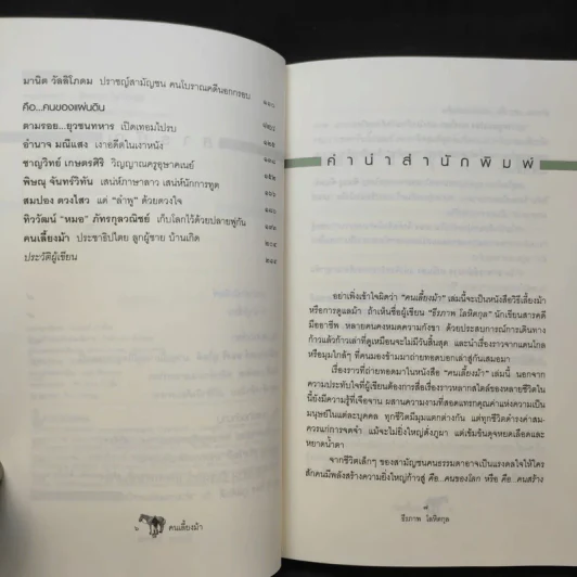 คนเลี้ยงม้า - ธีรภาพ โลหิตกุล รูปที่ 10