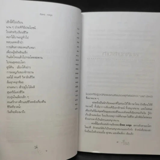 ดอกไม้บานที่เกาะใต้ - ธีรพร คงพูล รูปที่ 8