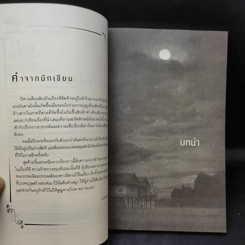 ปีศาจเดือนสิบ - นายหมอก รูปที่ 10