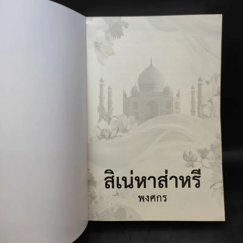 สิเน่หาส่าหรี - พงศกร รูปที่ 8