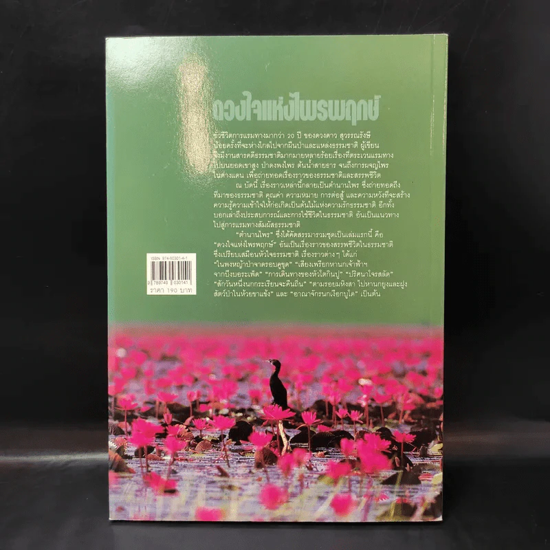 ดวงใจแห่งไพรพฤกษ์ - ดวงดาว สุวรรณรังษี รูปที่ 2