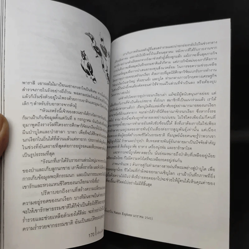 ดวงใจแห่งไพรพฤกษ์ - ดวงดาว สุวรรณรังษี รูปที่ 11