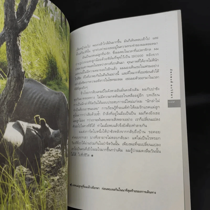 ใจคนและหนทาง - ภัทรพงศ์ คงวิจิตร รูปที่ 14