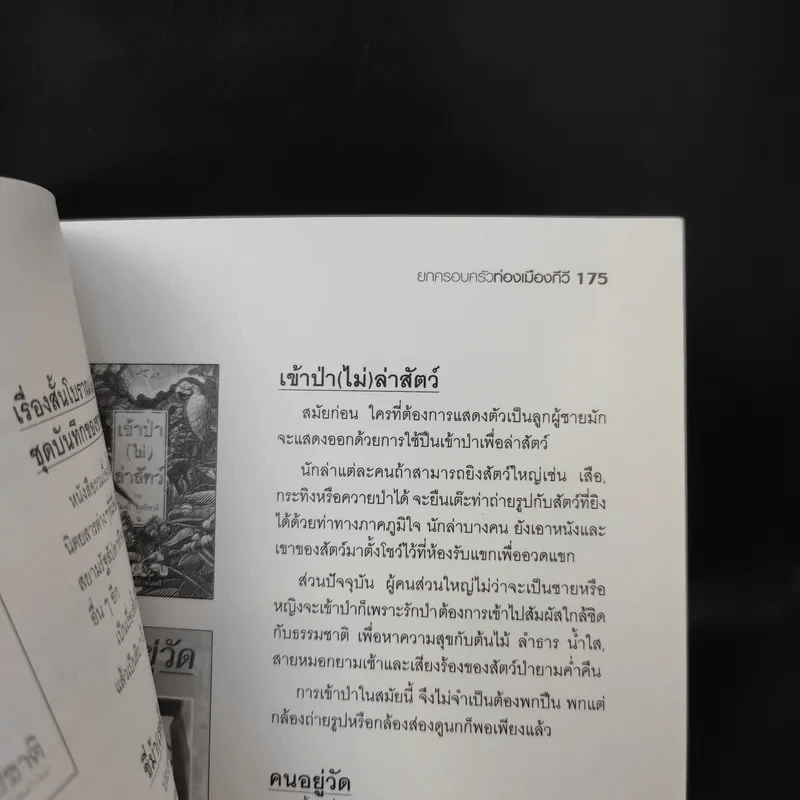 ยกครอบครัวท่องเมืองกีวี - ไมตรี ลิมปิชาติ รูปที่ 12