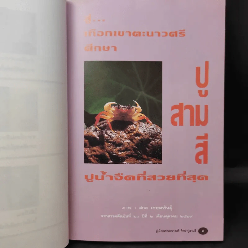 ก่อนจะไม่มีลมหายใจสำหรับพรุ่งนี้ - วัยชัย ตันติวิทยาพิทักษ์ รูปที่ 11