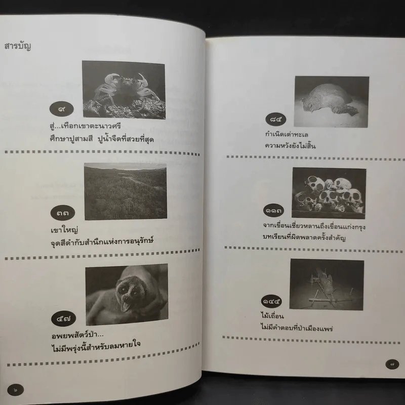 ก่อนจะไม่มีลมหายใจสำหรับพรุ่งนี้ - วัยชัย ตันติวิทยาพิทักษ์ รูปที่ 10
