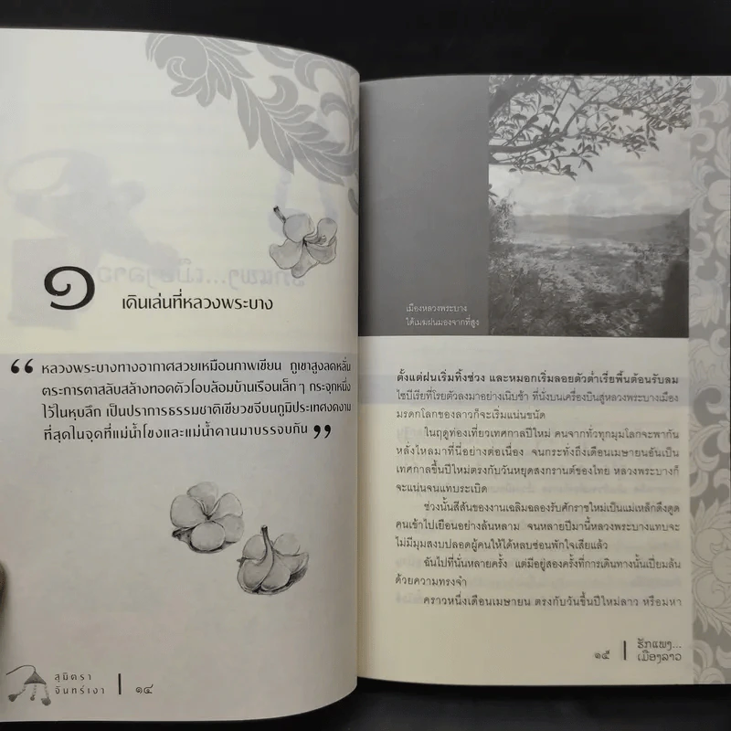 รักแพง เมืองลาว - สุมิตรา จันทร์เงา รูปที่ 12