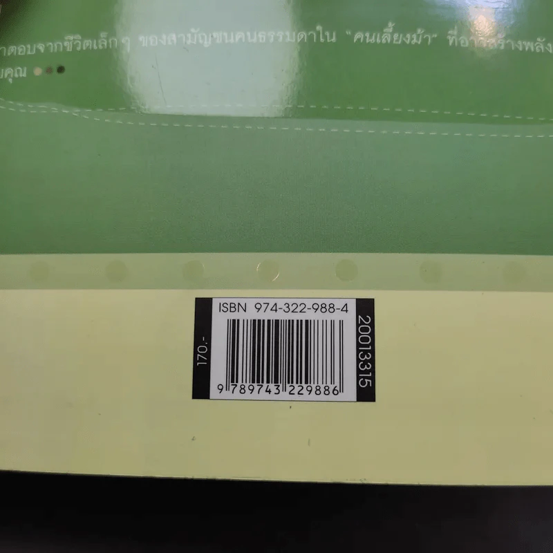 คนเลี้ยงม้า - ธีรภาพ โลหิตกุล รูปที่ 13