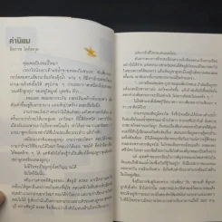 เสน่หา เวียงจำปาหลวง - สัจภูมิ ละออ รูปที่ 11