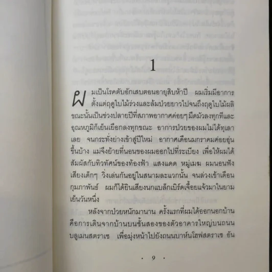 The Reader - เบิร์นฮาร์ด ชลิงค์ รูปที่ 11
