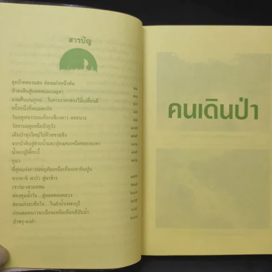 คนเดินป่า - สุรจิต จามรมาน รูปที่ 10