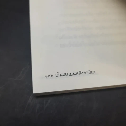 เดินเล่นบนหลังคาโลก - เพลงดาบแม่น้ำร้อยสาย รูปที่ 13