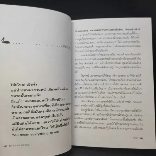 ทุ่งทองของน้องหมวย - เริงฤดี รูปที่ 9