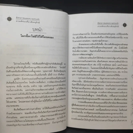 มิตรภาพและความทรงจำ รูปที่ 12