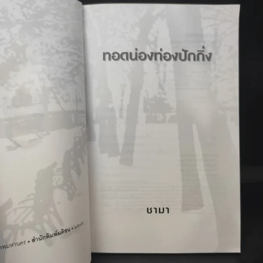 ทอดน่อง ท่องปักกิ่ง - ชามา รูปที่ 8
