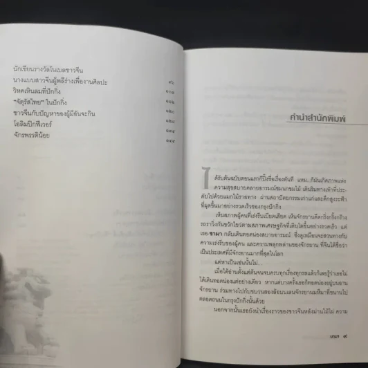 ทอดน่อง ท่องปักกิ่ง - ชามา รูปที่ 10
